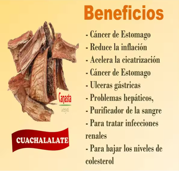 TE DE CUACHALALA TE ANAHUAC