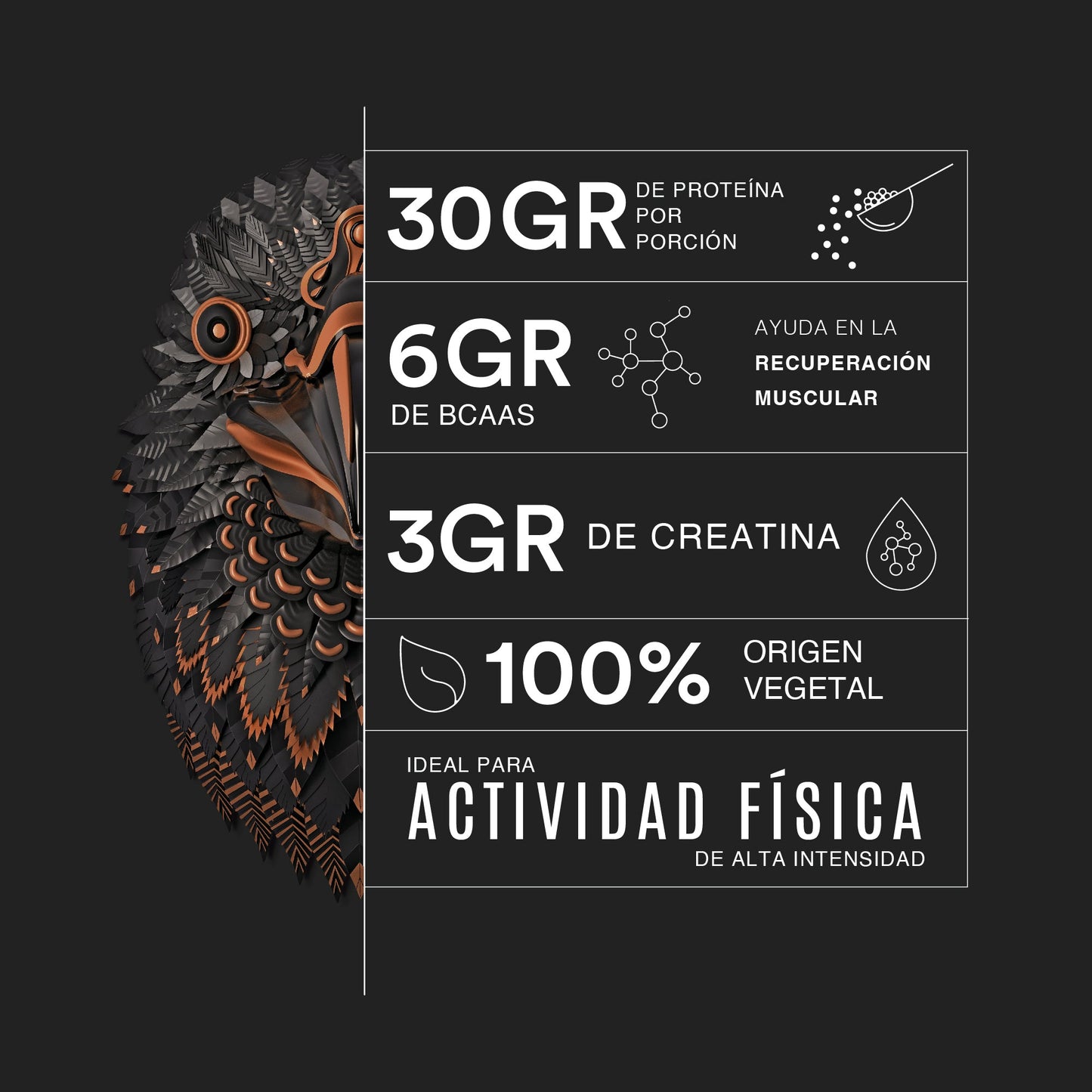 BIRDMAN FALCON PERFORMANCE GOLDEN VANILLA