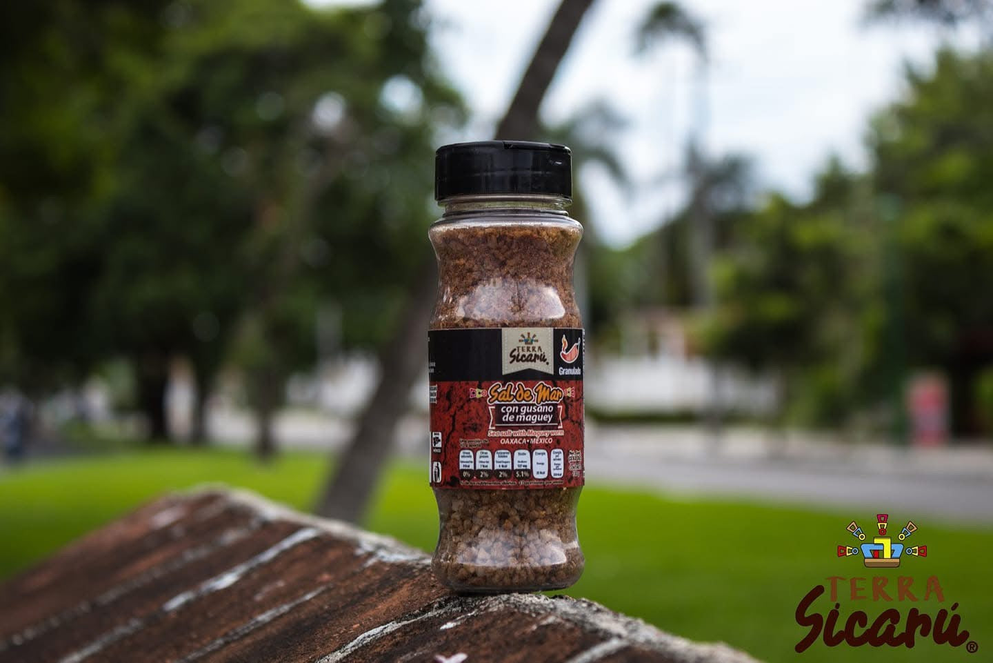 Terra Sicaru Sal de Mar Con Gusano de Maguey