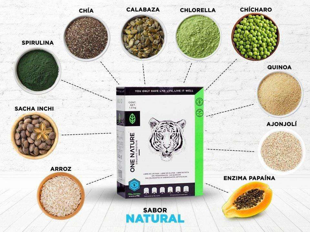 ONE NATURE PROTEINA ORGANICA VEGANA SABOR NATURAL