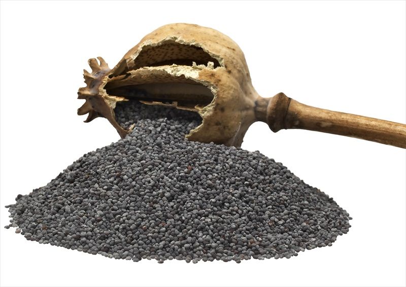 POPPY SEED ORGANICA LA SELECTA 100g