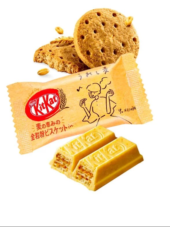 KITKAT GALLETA DE CHOCOLATE JAPONES SABOR GALLETA INTEGRAL INDIVIDUAL